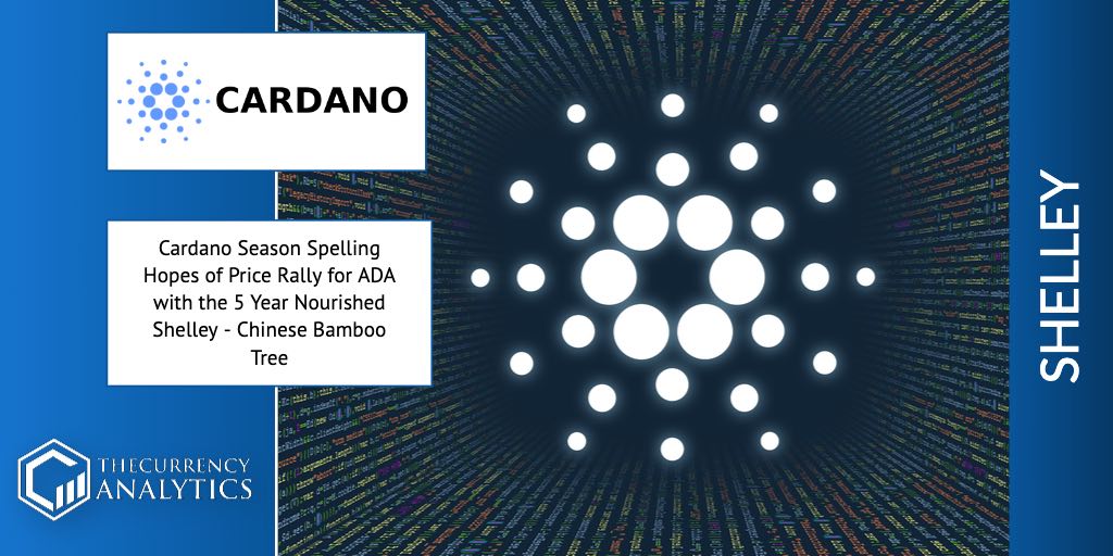 Cardano Shelley ADA price Rally