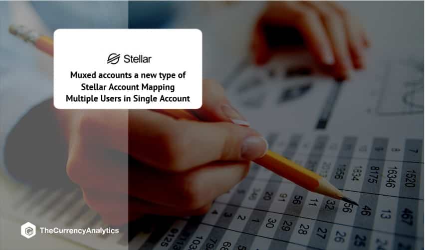 Muxed accounts a new type of Stellar Account Mapping Multiple Users in Single Account